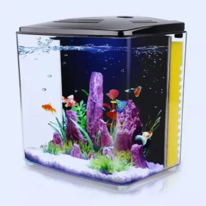 Aquário para Peixes Betta: Escolha o Melhor para Seu Peixinho 🐟
