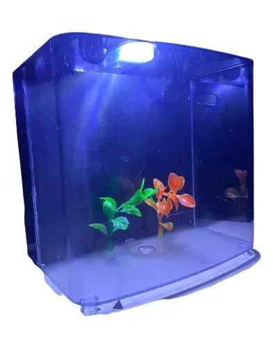Aquário para Peixes Betta