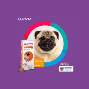 Bravecto 4 5 a 10kg para Cães: Justifica a Fama?