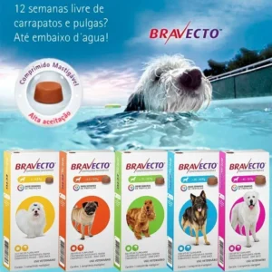 Bravecto antipulgas comprimido para cães | Proteção eficaz🐶