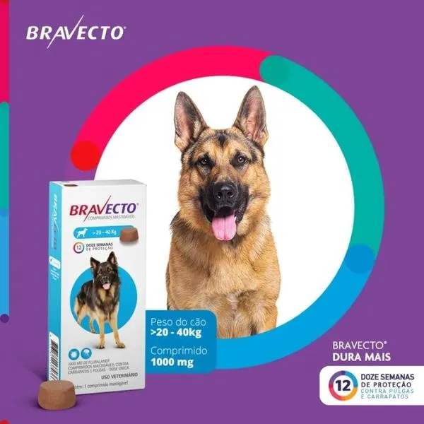 Bravecto antipulgas comprimido para cães