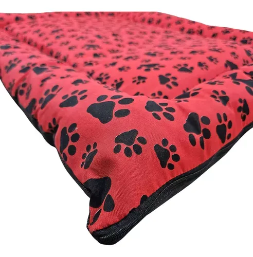 Caminha para Cachorro