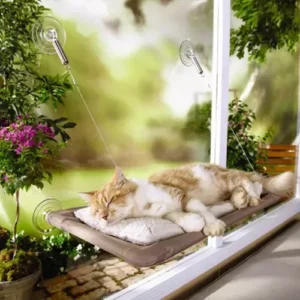 Cama Para Gato Suspensa Janela: Seu Gato Merece Esse Mimo!