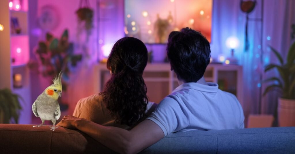 Smart TV 50 polegadas Menor Preço