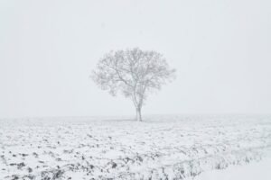 Oito recomendações essenciais para quem precisa dirigir em neve ou pista congelada