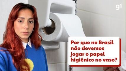 Papel higiênico no vaso? Entenda por que a prática ainda não é recomendada no Brasil - Imagem do artigo original