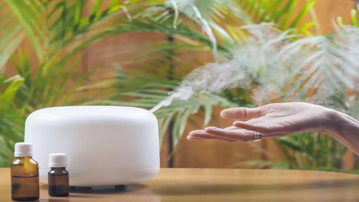 Umidificador de ar reduz irritação respiratória e melhora sono: veja se vale investir - Imagem do artigo