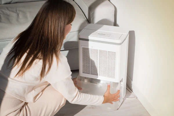 Climatizadores de Ar 2025: modelos que economizam energia e aumentam o conforto - Imagem do artigo