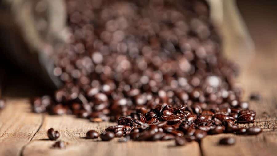 Café Gourmet: descubra como escolher, preparar e aproveitar cada xícara - Imagem do artigo