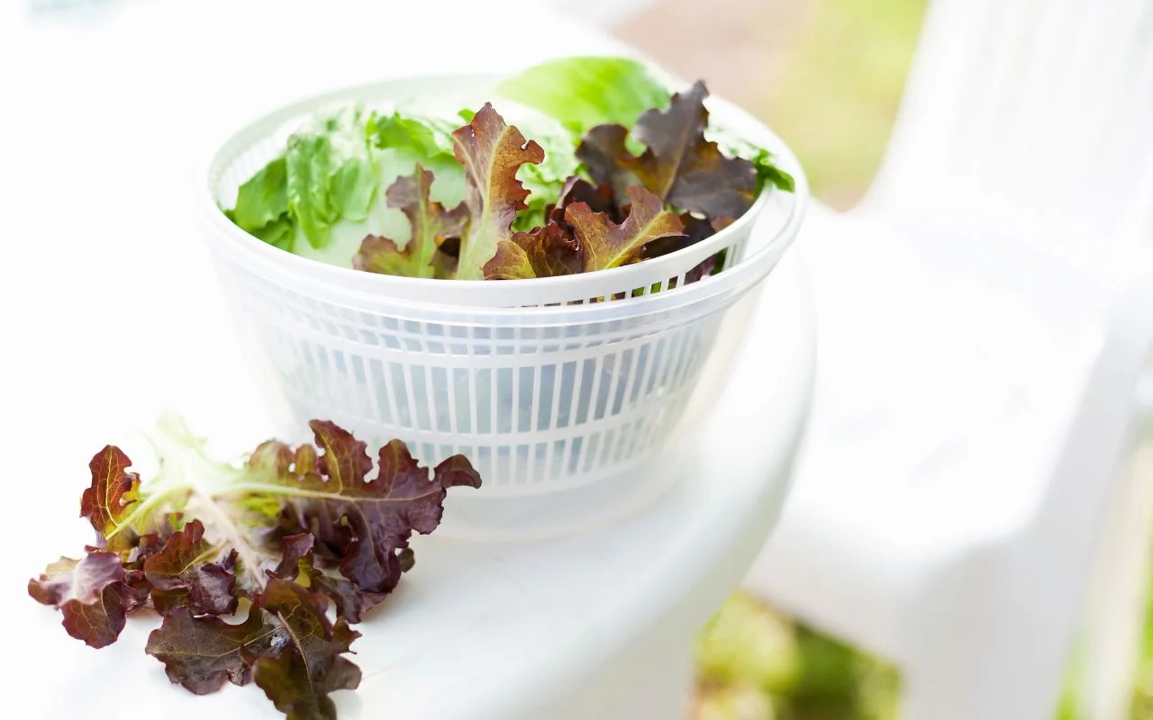 Secador de Salada 2025: descubra o modelo certo e nunca mais sirva folhas encharcadas - Imagem do artigo