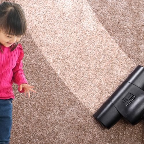 Escolha Certa: veja a potência ideal para aspirador de pó vertical em 2025