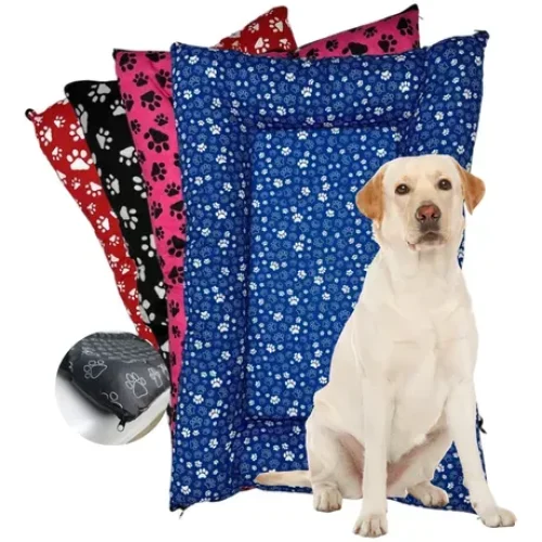Caminha para Cachorro 90×63: Super Oferta Pro Seu AUmigo!🐾