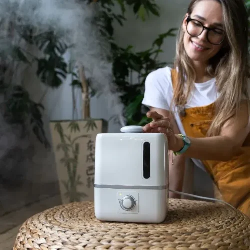 Como usar umidificador de ar: guia rápido para evitar ar seco em casa