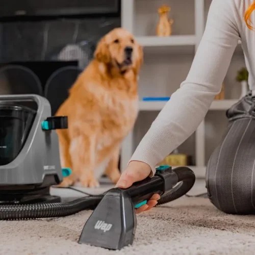 Extratora e Higienizadora Portátil Wap Spot Cleaner w2: Review Completo!