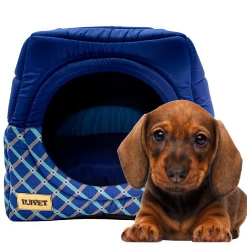 Cama Toca Cachorro: O Cantinho Perfeito do seu PET