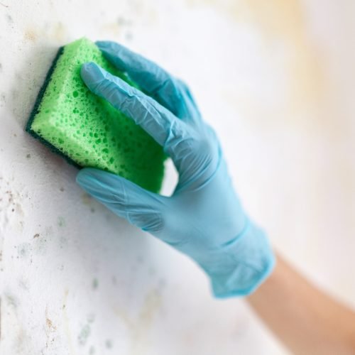 Parede úmida? Veja soluções práticas, produtos certos e como evitar o retrabalho