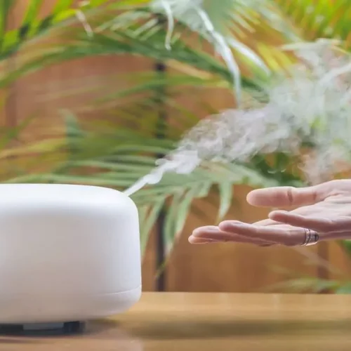 Umidificador de ar reduz irritação respiratória e melhora sono: veja se vale investir