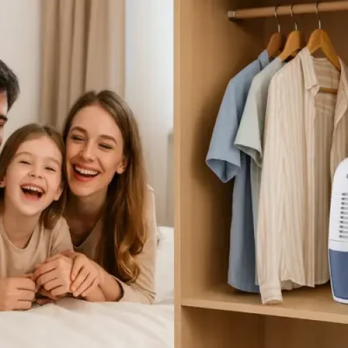 Desumidificadores 2025: descubra o modelo certo para cada ambiente