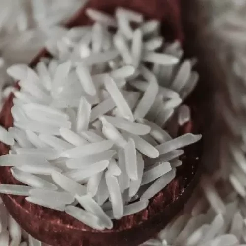 5 Panelas de Arroz que Otimizam Seu Tempo em 2025 – Vale o Investimento?