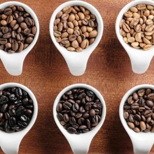 Torra Média de Café revela equilíbrio de sabor e aroma: guia completo