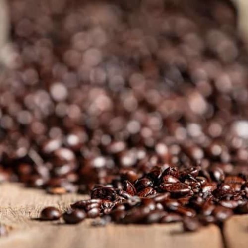 Café Gourmet: descubra como escolher, preparar e aproveitar cada xícara