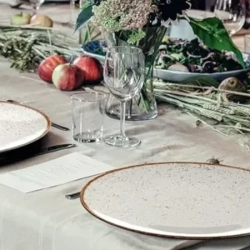 Prato Tramontina: compare modelos, acerte na escolha e ganhe durabilidade