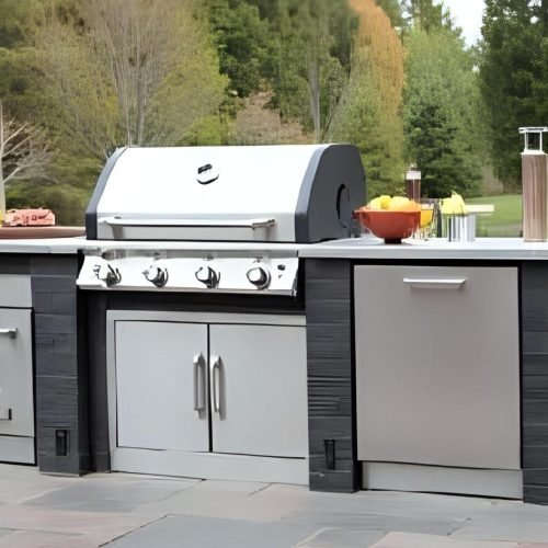 Churrasqueira a gás em 2025: descubra o modelo ideal e evite erros na compra