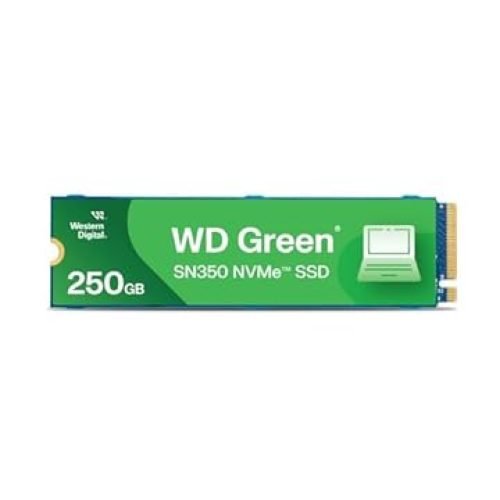 SSD NVMe WD Green SN350: como escolher a capacidade certa sem erro