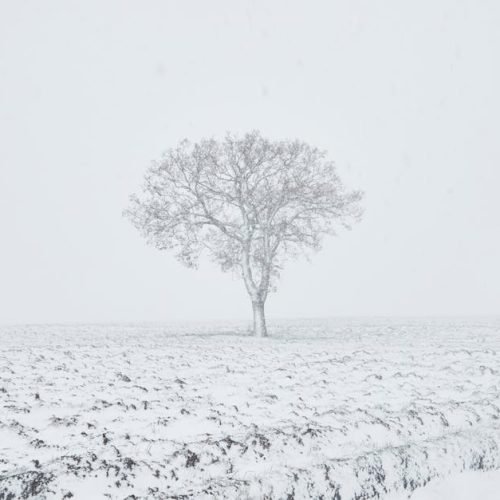 Oito recomendações essenciais para quem precisa dirigir em neve ou pista congelada