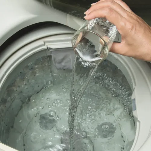 Evite doenças: 7 itens que não devem ir juntos na máquina de lavar